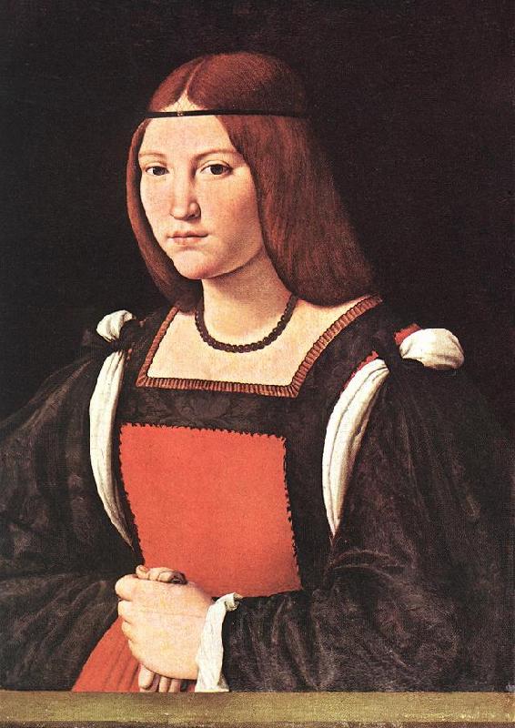 BOLTRAFFIO, Giovanni Antonio Portrait of a Young Woman 55 Sweden oil painting art